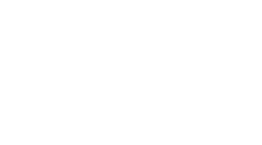 logo_carcleanerz